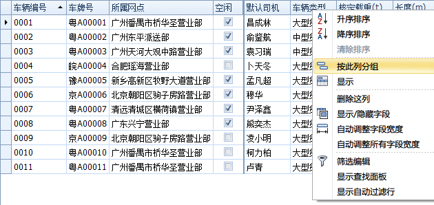 蓝格物流软件-根据“车辆类型”对车辆进行分组